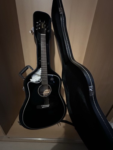 Westerngitarre takamine - westerngitarre,