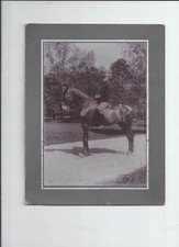 Nr,32701 Foto auf Karton