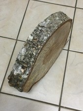 Gestocktes Birkenholz Baumscheibe oval unbehandelt für Deko, zum Basteln…