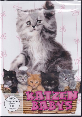 Katzen babys dvd - babys,
