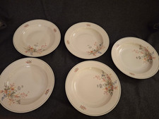 5 große Suppen Teller