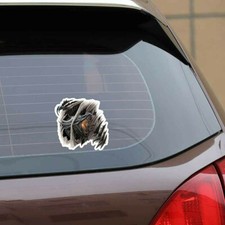 Auto;Motorrad Aufkleber " Drache in Action ", (Kartei1/3)