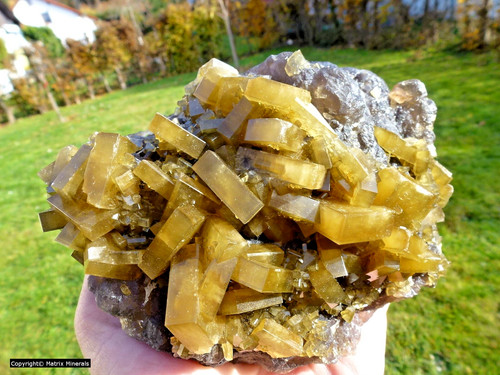 Golden baryt auf fluorit von - golden,