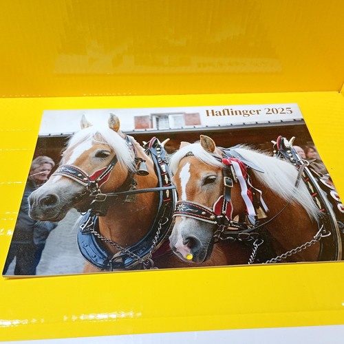 Haflinger wandkalender 2025 - haflinger,