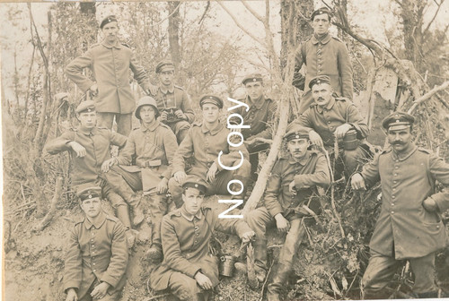 Foto vogessen - foto,