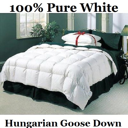 100 reine ungarische - 100,