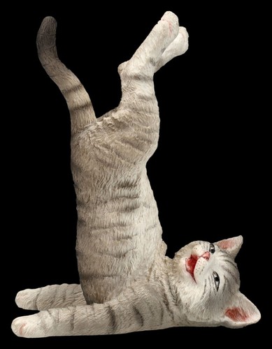 Yoga katze figur - figur, schulterstand
