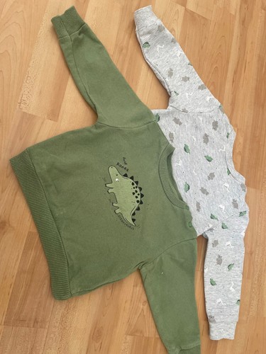 Pullover set tlg dinosaurier - tlg,