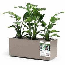 euro3plast Greener KEBE 3154.G9 Pflanzkasten Kunststoff Taupe Blumentopf Blumen