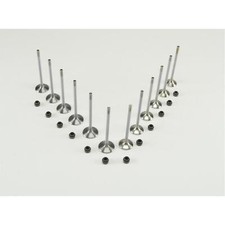 12 Ventile 6x Einlaß-/ + 6x