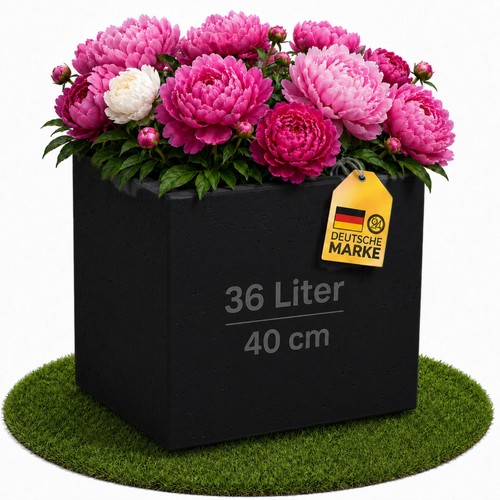 Ondis24 pflanzkübel - ondis24,