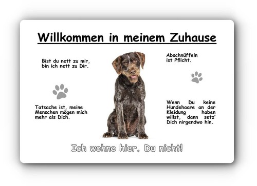 Warnschild 20x30cm - -,