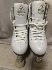 Professionelle Eiskunstlauf