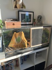 Terrarium 100x50x50 cm aus Glas mit Schiebetüren + handgefertigtem Holzrahmen