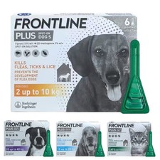 Front plus Hunde und Katzen 6