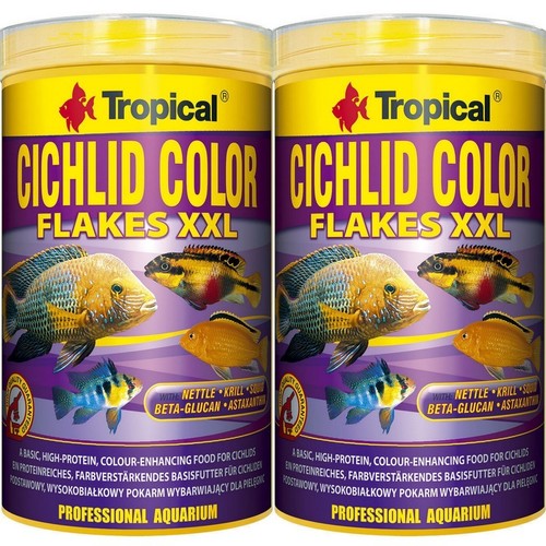Tropical cichlid color - 2x,