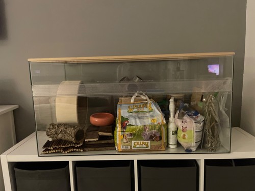 Hamster terrarium mit viel - hamster,