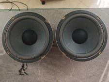 Zwei Tieftöner von Dual mit