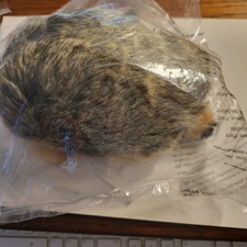 Steiff Joggi Hedgehog Igel