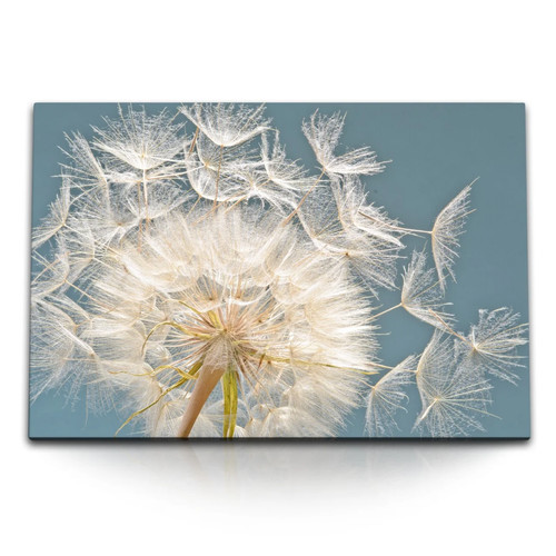 120x80cm wandbild auf leinwand - auf,