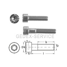 Zylinderschrauben TORX ISO