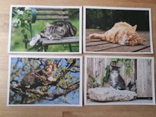 4 Ansichtskarten Postkarten mi