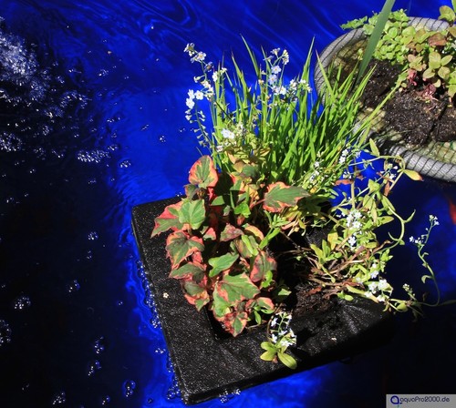 Velda floating plant island - floating,