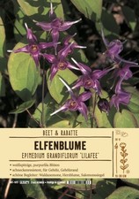 Epimedium grandiflorum