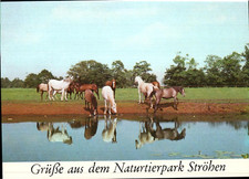 Grüße aus dem Naturtierpark