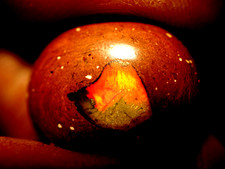 Mexikanischer Feueropal 14,2 ct. Cab.