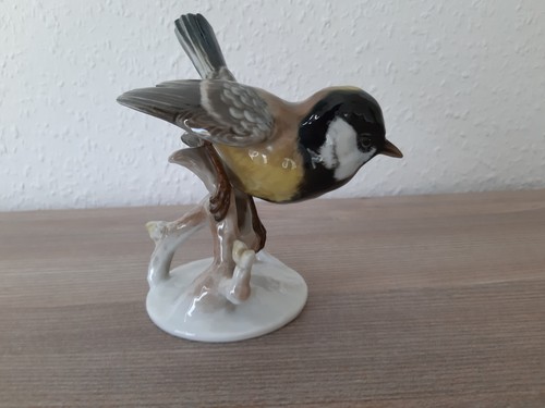 Kohlmeise rosenthal - kohlmeise,