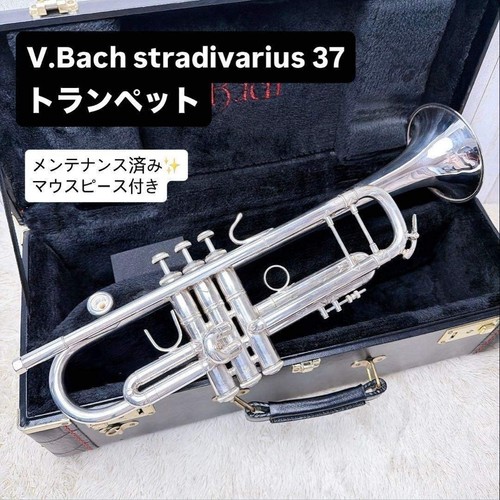 Bach stradivari trompete - stradivari, 37