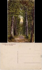 Eisenach Durchblick von der Hohensonne Ansichtskarte 1922