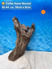 ‼️Corbo Root Nano⭐️