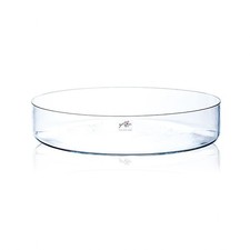 Glasschale, Dekoschale CORA rund H. 8cm D. 39cm transparent Sandra Rich