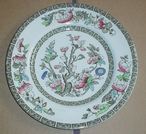 Masons indian tree - masons,
