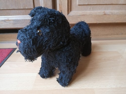 Altes plüschtier hund - hund,