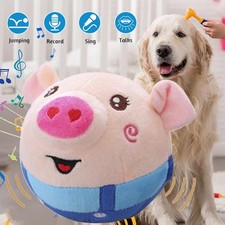 Interaktives Hundespielzeug