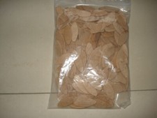 HÄFELE Lamellen 100 Stück Gr. 20 zu Lamello Fräse