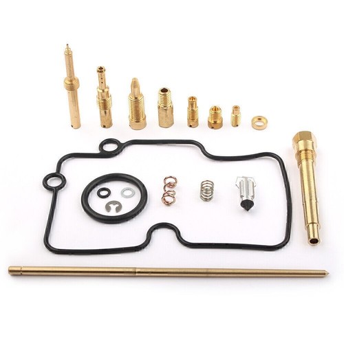 Vergaser-Reparatur-Kit