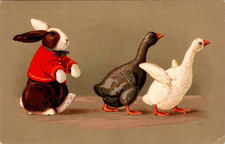 AK TIER TIERE HASE + GÄNSE COL. 1914