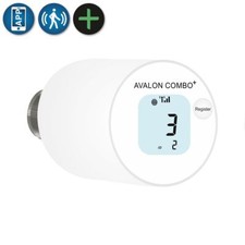 Blossom avalon combo - blossom-ic, combo+