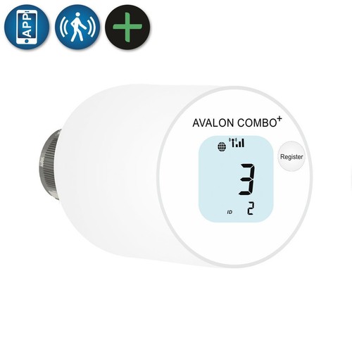Blossom avalon combo - blossom-ic, combo+