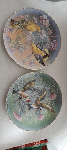 Rosenthal porzellan wandteller - rosenthal, porzellan-wandteller