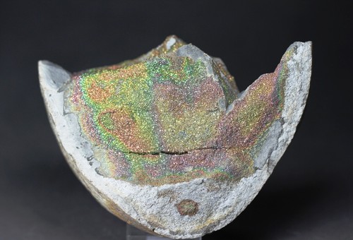 Regenbogen pyrit septarie - regenbogen,