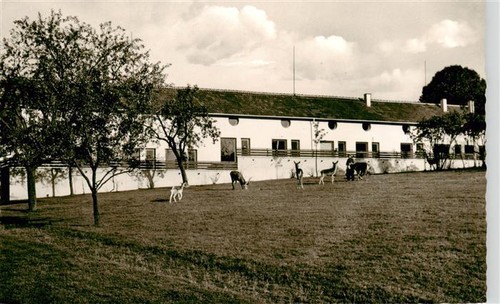 Geislitz landgut geisberg - geislitz,