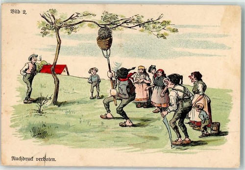 Bienenvolk einfangen