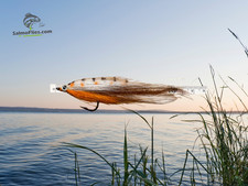 🎣 3x Baitfish Streamer