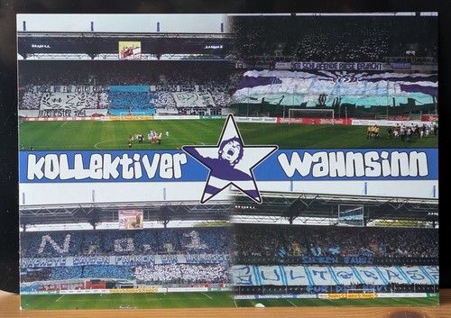 Kollektiver wahnsinn msv - kollektiver,