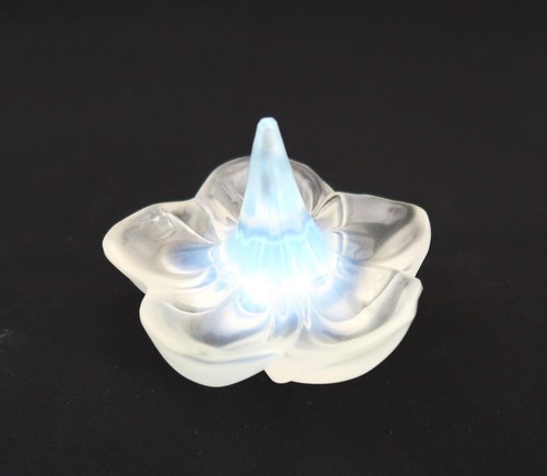 Opallisierte ringschale blume - opallisierte,